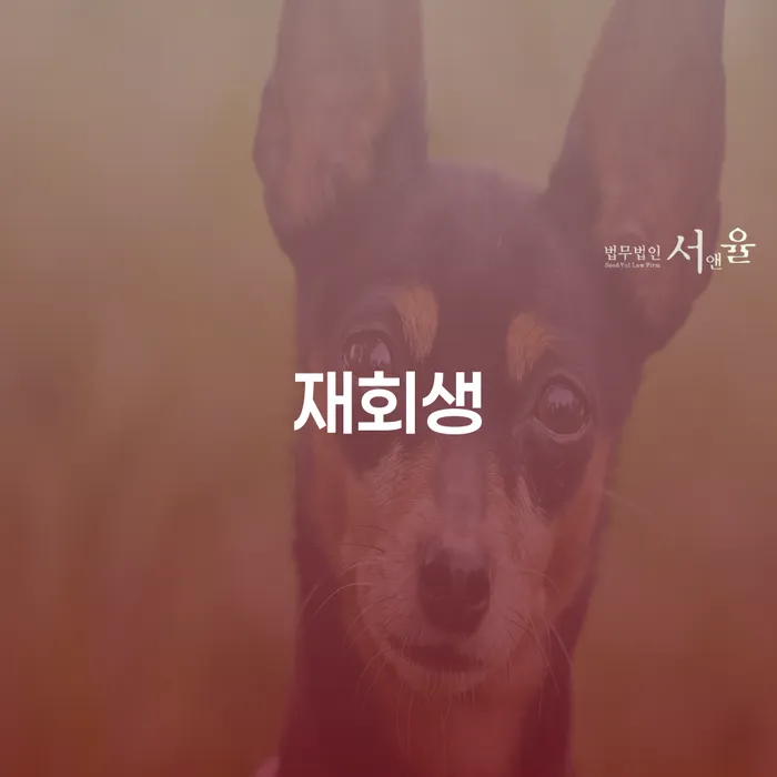 카톡상담 개인회생 개인회생,개인파산으로 최선의 선택