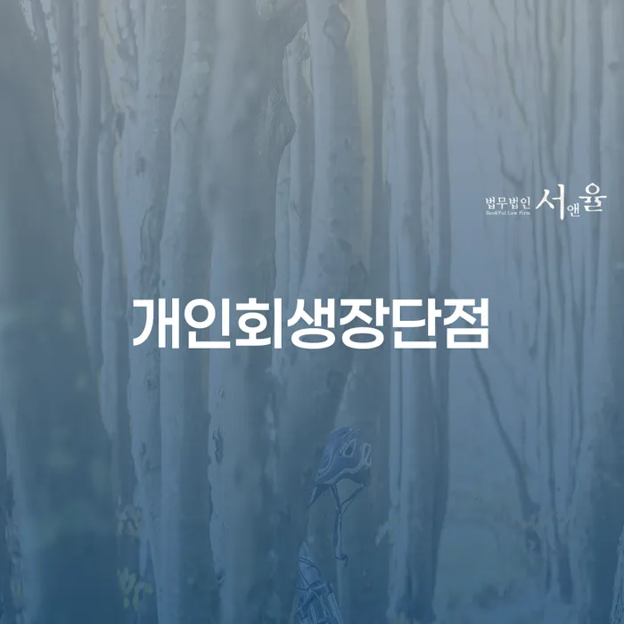 개인신용회복제도 개인회생으로 방법 실제사례