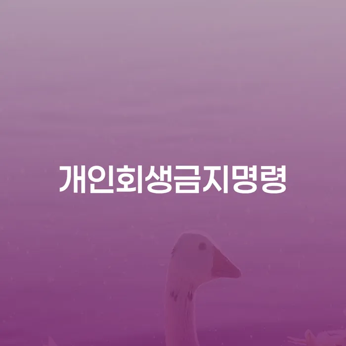 개인회생 빚갚는 방법 최신정보
