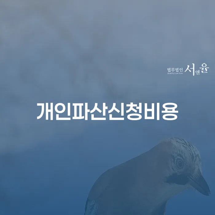 파산전문변호사 개인회생으로 방법 채무조정제도를 이용
