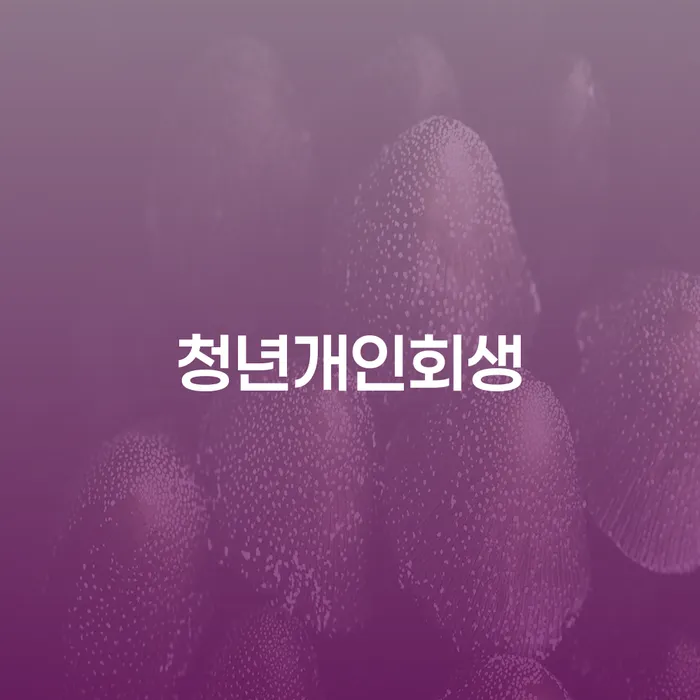 개인회생필요한서류 개인회생 처리방법 지금알아보기