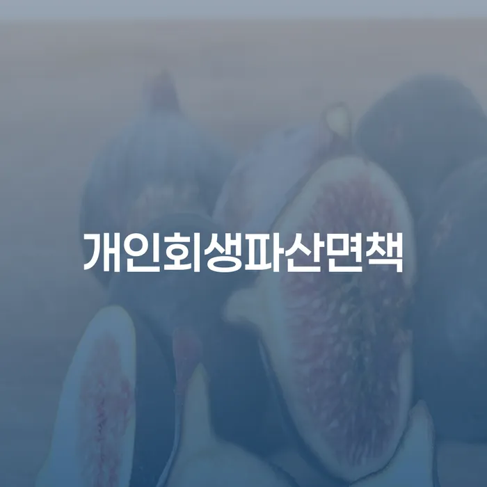 개인회생및파산 채무 효과적인 해결방법 해결할 수 있을까?