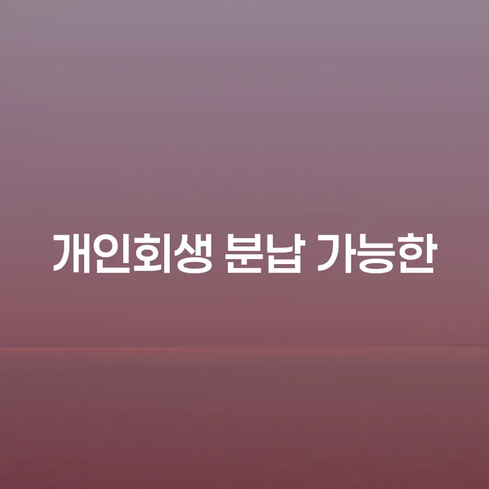 신용불량자 개인회생,개인파산으로 체크해보세요