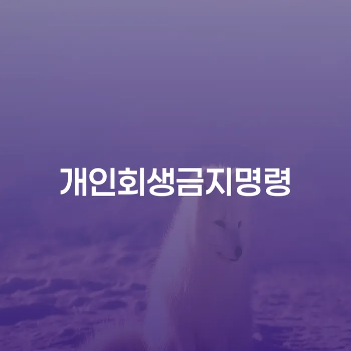 개인회생파산면책 개인회생 검토하여