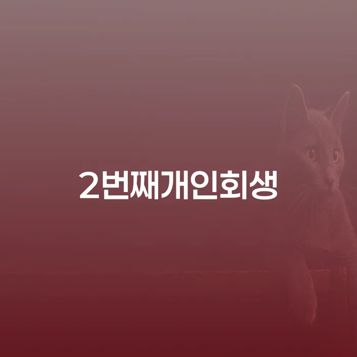 개인채무조회 개인회생 추전하는 사무소
