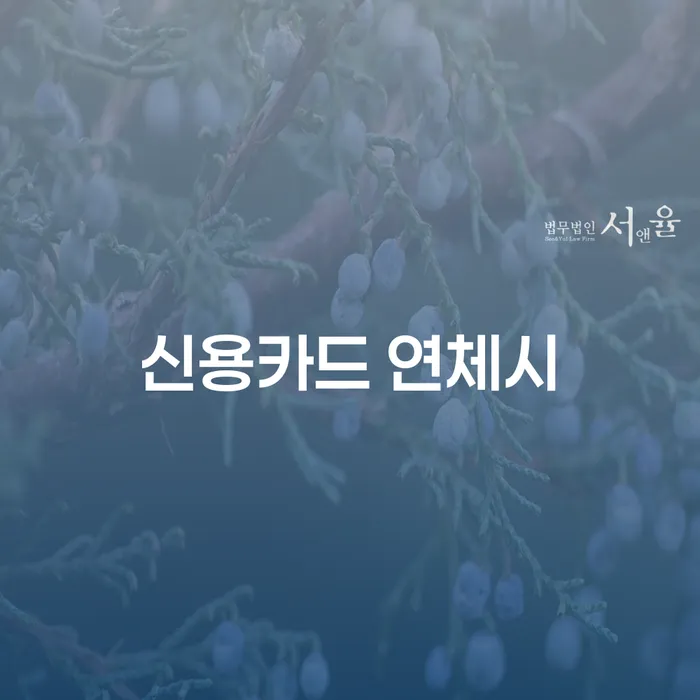 안양시 개인회생과파산차이 개인회생으로 현명하게 유선상담
