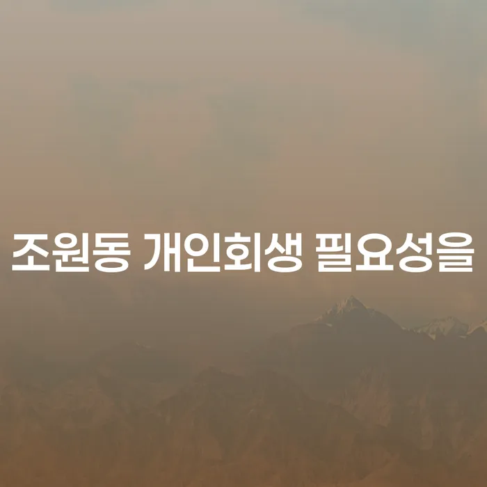 조원동 개인회생 필요성을