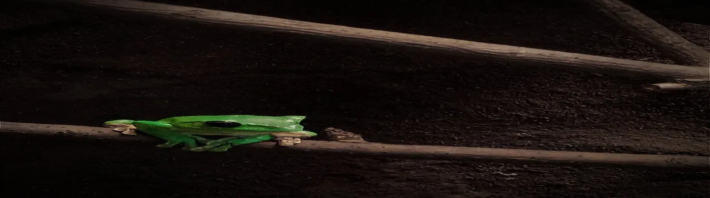 법무법인 서앤율