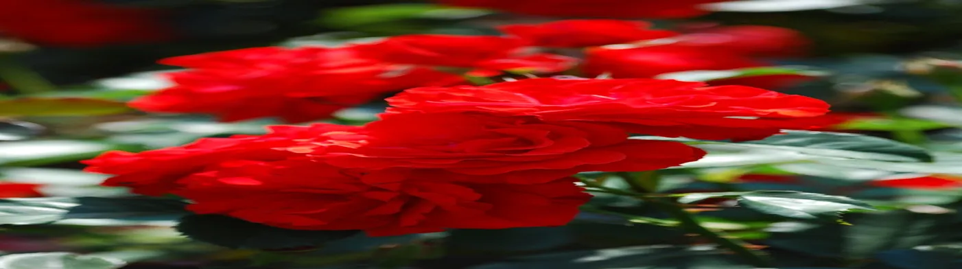 법무법인 서앤율