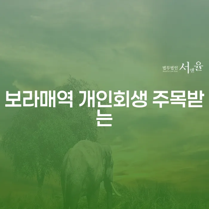보라매역 개인회생 주목받는