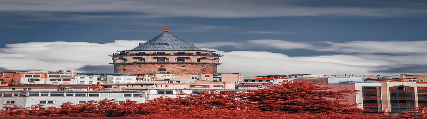 법무법인 서앤율