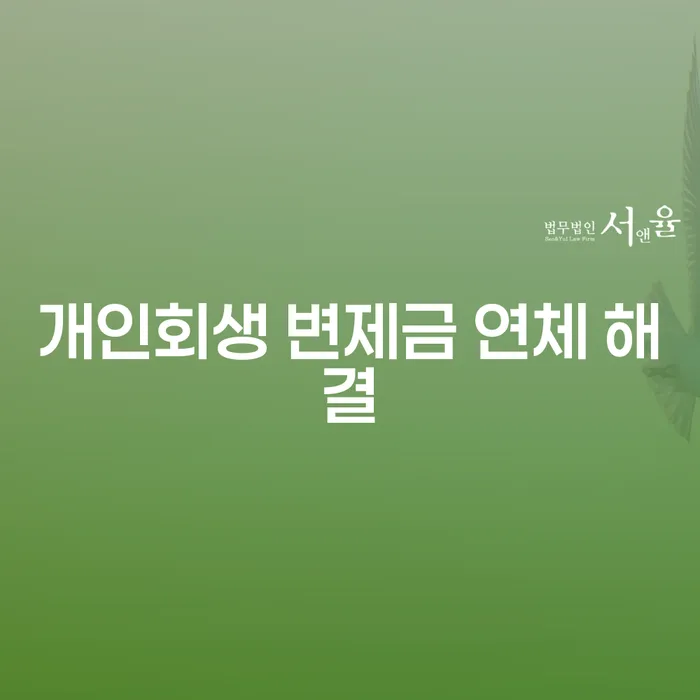 개인회생 변제금 연체: 어떻게 해결할 수 있을까요?