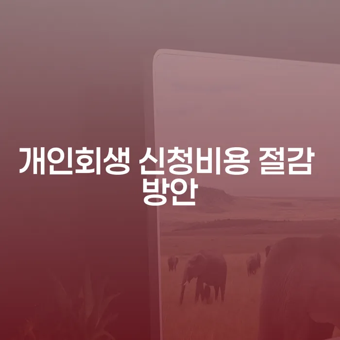 개인회생 신청비용 절감 방안은 무엇일까요?