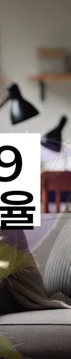 법무법인 서앤율 회생파산상담센터