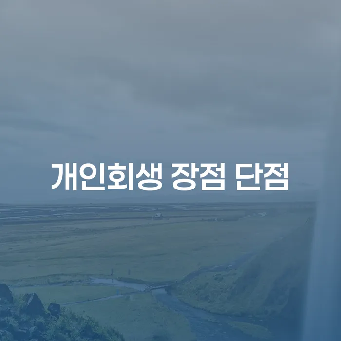 왕십리동 개인회생 장점과 단점에 대한 심층 분석