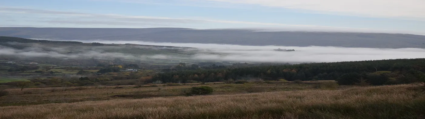 법무법인 서앤율