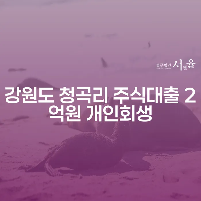 강원도 청곡리에서 주식대출 2억원, 개인회생으로 빚해결 가능한가요?